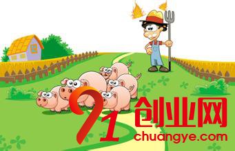 武大學生跨界創(chuàng)業(yè)回鄉(xiāng)養(yǎng)豬 實現(xiàn)回鄉(xiāng)創(chuàng)業(yè)的夢想