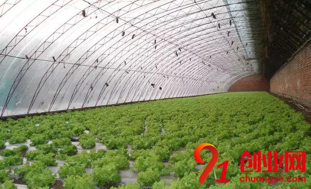 農村創業拿地技巧：這3類土地用地優惠政策最多！