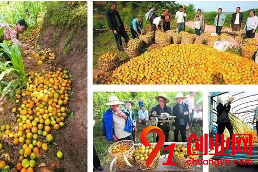 2018年做農業，這十條紅線碰都不要碰！