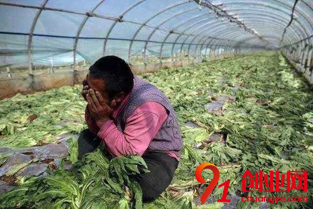 2018年做農業，這十條紅線碰都不要碰！