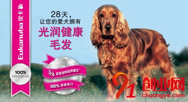 如何挑選狗糧?五大品牌狗糧盤點