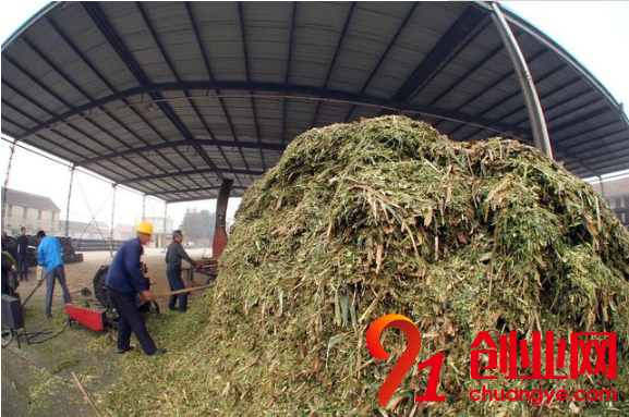 適合農(nóng)村創(chuàng)業(yè)的4大賺錢項目是什么