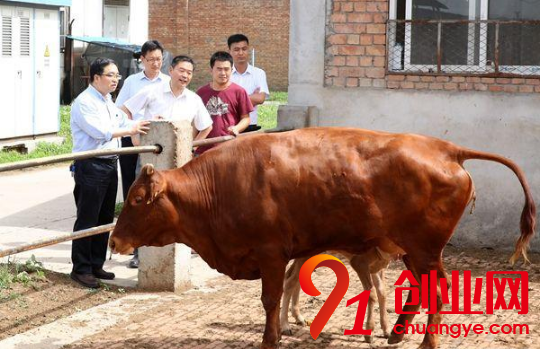 現(xiàn)在北方農(nóng)民養(yǎng)殖什么可以賺錢？