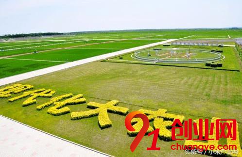 2018年做農(nóng)業(yè)利用這4個(gè)大招，讓你賺個(gè)金缽滿(mǎn)盆