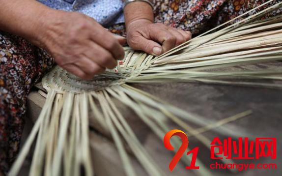 2018年回農(nóng)村創(chuàng)業(yè)，這幾個致富項(xiàng)目可以試一試