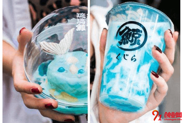 琉璃鯨開店需要多少錢？單店代理不一樣