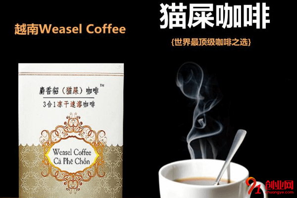 貓屎咖啡怎么加盟？加盟有流程指導嗎？