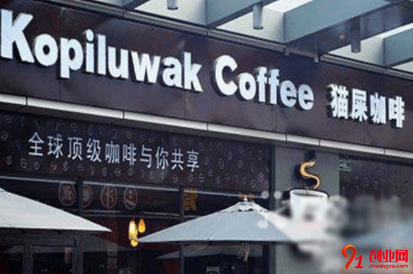 貓屎咖啡加盟利潤大嗎？投資回報期多久？