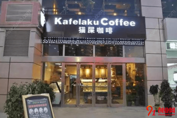 貓屎咖啡加盟利潤大嗎？投資回報期多久？