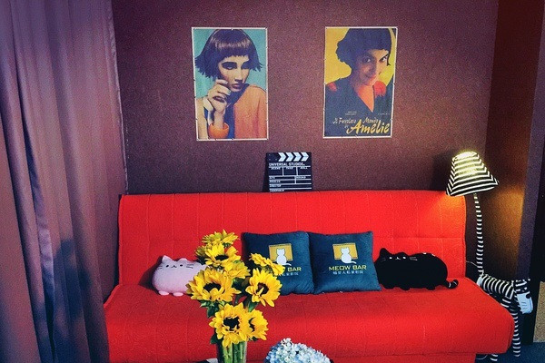 喵星人私人影院 喵星人私人影院