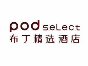 布丁精選