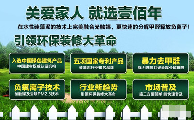 壹百年硅藻泥