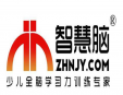 智慧腦教育
