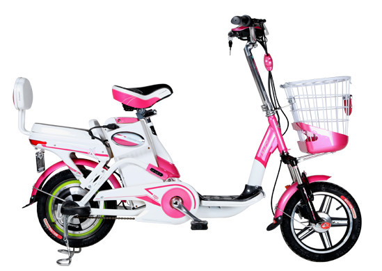  立馬電動車