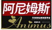 阿尼姆斯