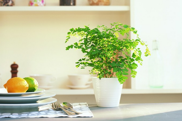  悅南家居飾品