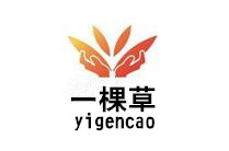 一棵草家居飾品