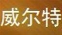 威爾特家居飾品