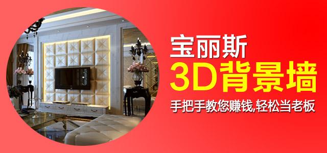 寶麗斯3d背景墻