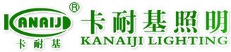  卡耐基照明