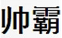 帥霸箱包