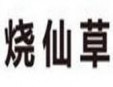 燒仙草珍珠奶茶