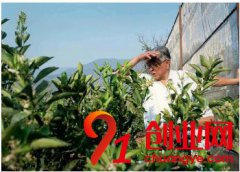 七旬老人為何能再度創(chuàng)業(yè)成功？