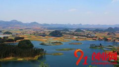 農村創業養殖什么比較賺錢？