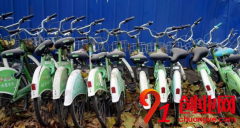 共享單車 凜冬已至？