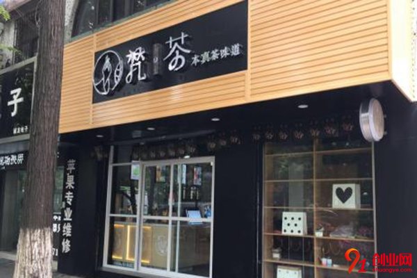 凈梵茶怎么樣?用實力證明它值得投資