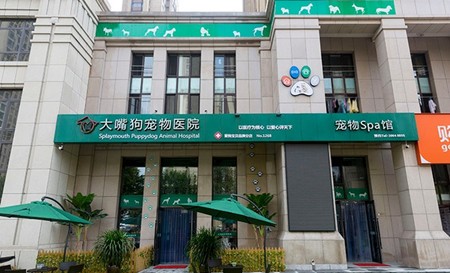 大嘴狗寵物醫院