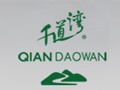 千道灣白茶
