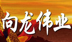 向龍偉業衣柜