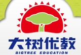 大樹玩具