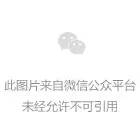 布迪設計內衣15年春夏“設計師系列”驚艷上新