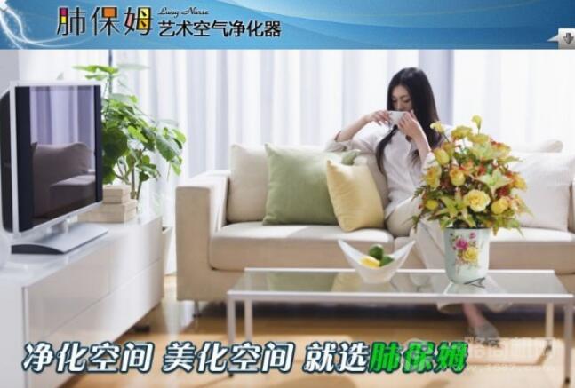 肺保姆