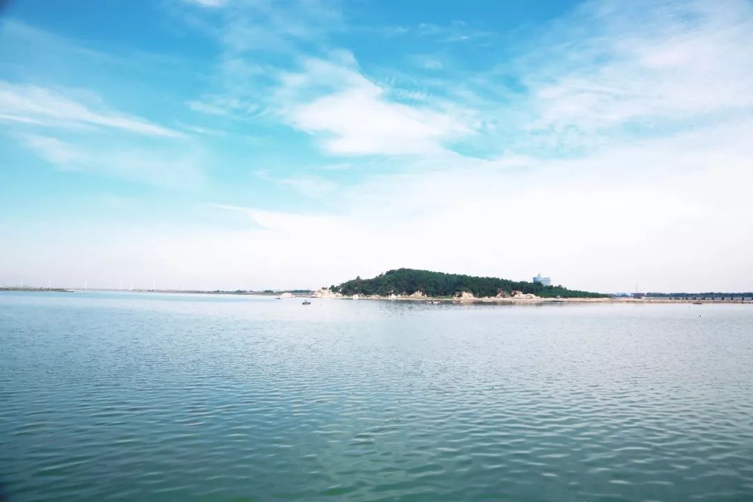 好當家海參