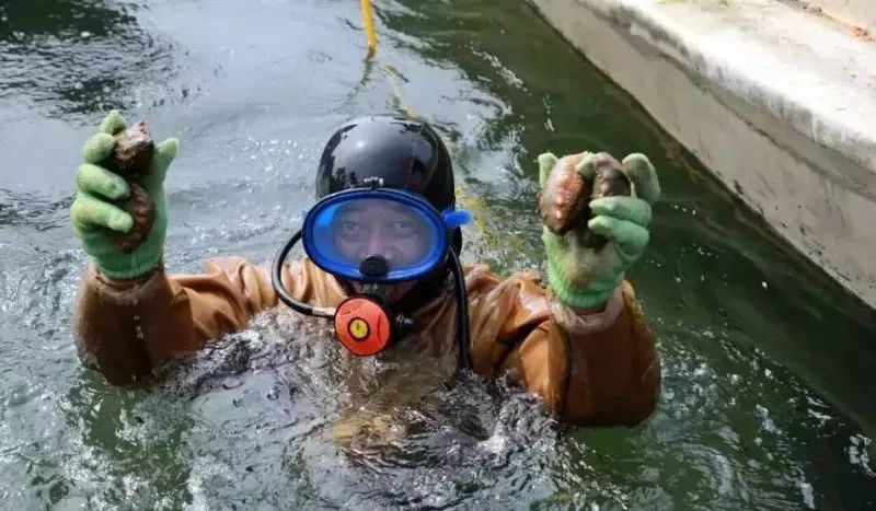好當家海參