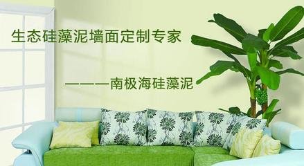 硅藻泥南極海