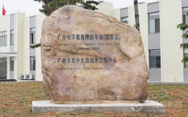風(fēng)行牛奶