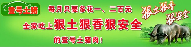 壹號(hào)土豬
