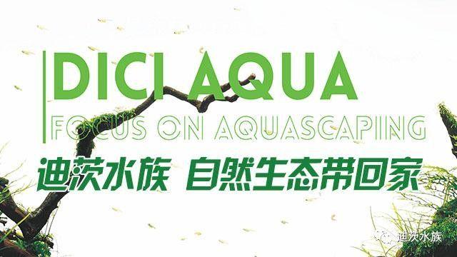 迪茨水族館加盟