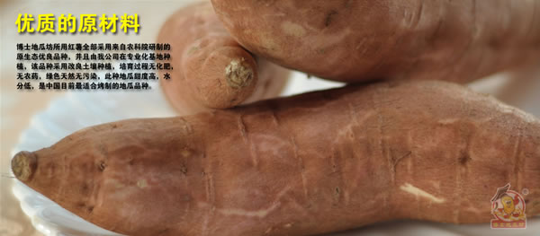 博士地瓜坊