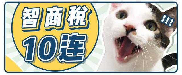 亮晶晶眼貼