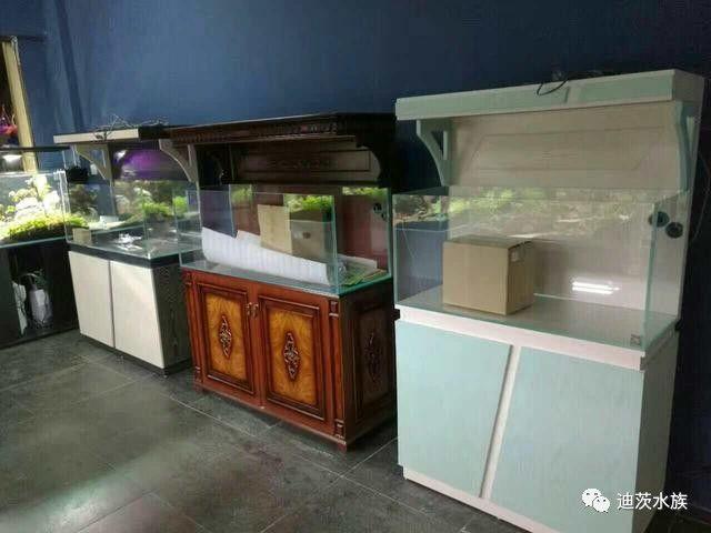 迪茨水族館加盟