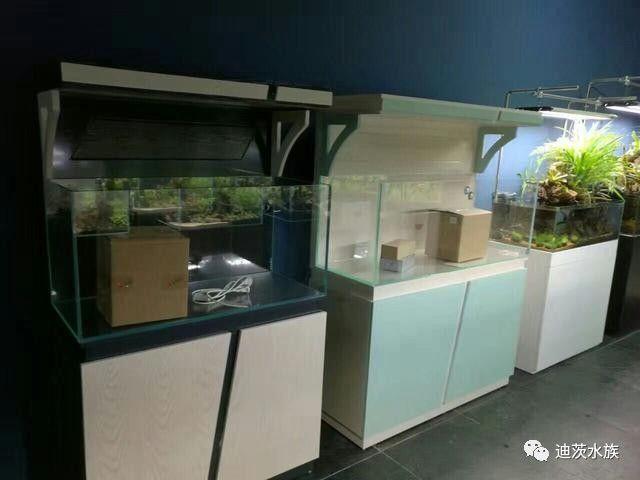 迪茨水族館加盟