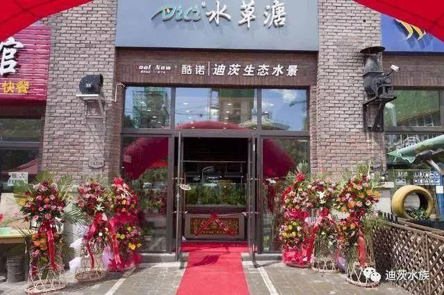 迪茨水族館加盟