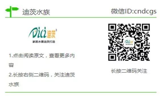 迪茨水族館加盟