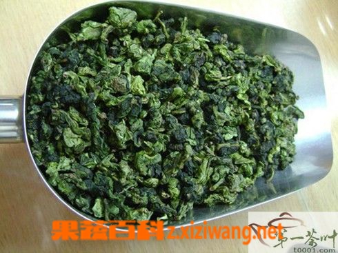 果蔬百科九洲韻茶葉