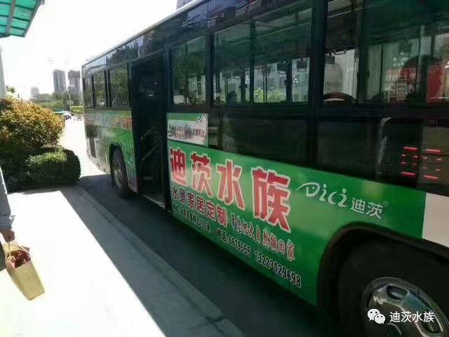 迪茨水族館加盟